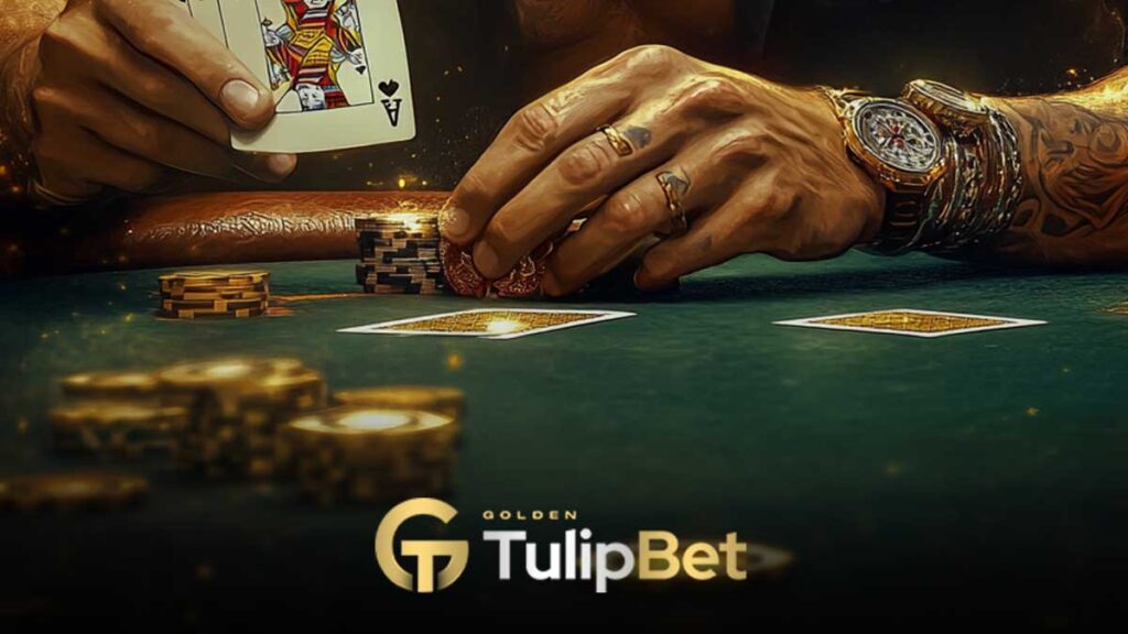 Tulipbet canlı casino