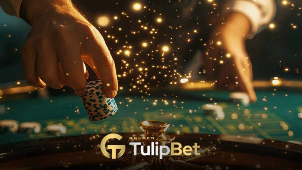 Tulipbet canlı casino